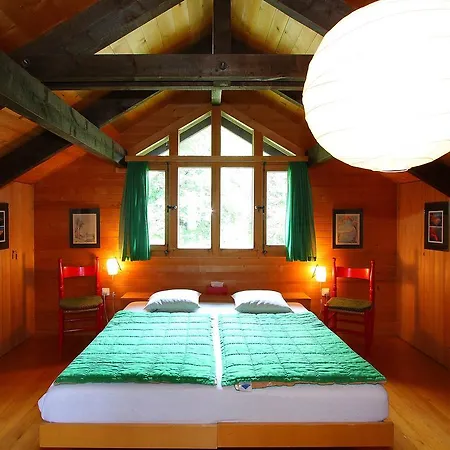 Chalet Meister *