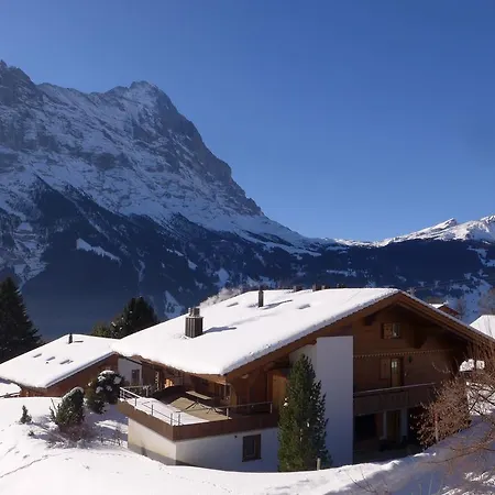 Chalet Meister *